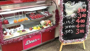 Dear～ ひらかたパーク店 - 枚方市
