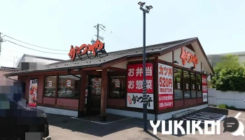 かつや 岐阜羽島店 - 羽島市