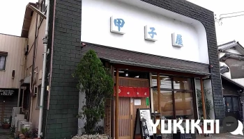 とんかつ甲子屋 - 流山市