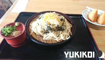 やな川 - 観音寺市