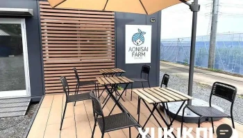 アオニサイファーム ブルーベリー観光農園&カフェ - つくば市