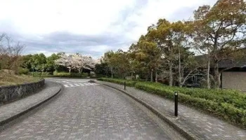 ブラッセリー フローラ - 小田原市