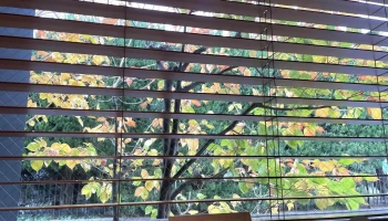 分上野藪かねこ - さいたま市