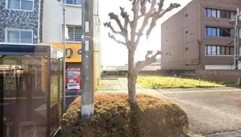 地鶏専門店 とり千 - 延岡市