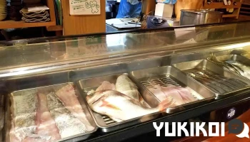 坐・久 -The Kyu- (ざきゅう) - 柏崎市