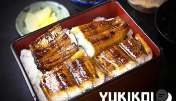 大勝うなぎ - 龍郷町