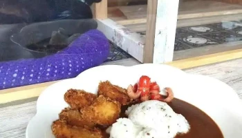猫カフェ風 居酒屋一彩(いっさい) - 利尻町
