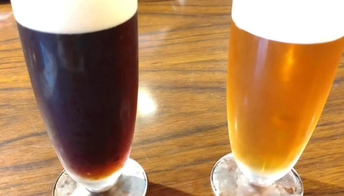 Cafebeerhall Re Brick カタログ - 半田市