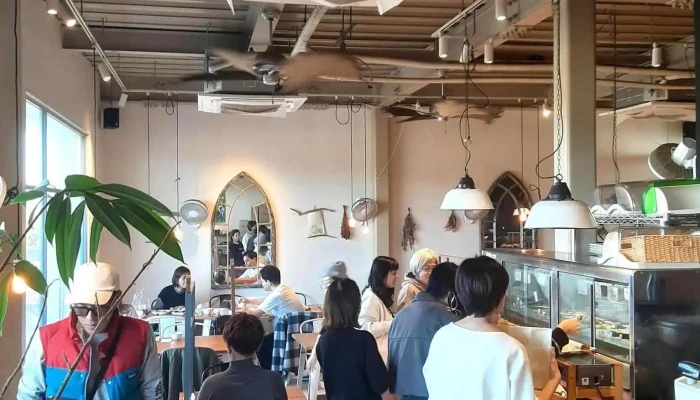Danza Padella -  最新 - 糸島市