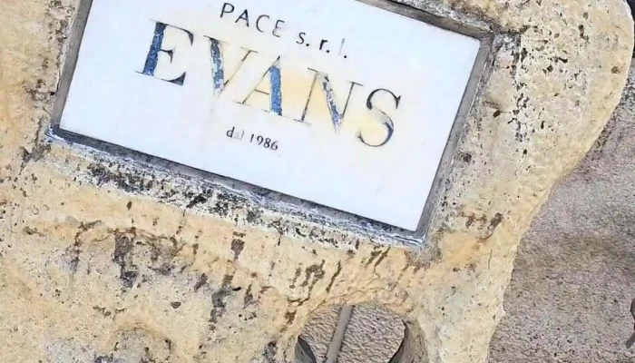 Evans エバンス 動画 - 金沢市