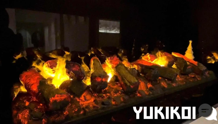 Fukui French Aujus福井フレンチオージュ 動画 - 福井市