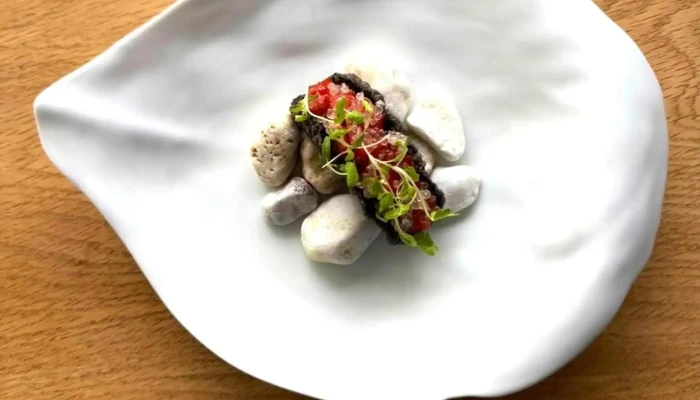 Mame Niseko -  最新 - 倶知安町