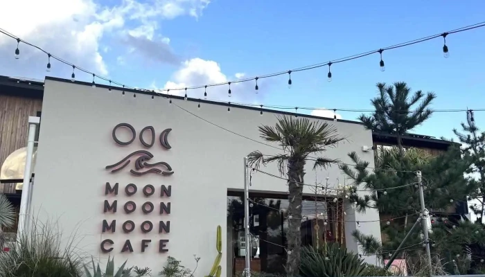 Moon Moon Moon Cafe -  最新 - 福岡市