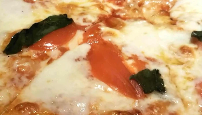 Niseko Yummys Pizza ニセコヤミーズピザ カタログ - 倶知安町