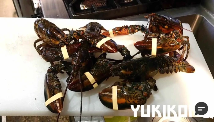 Restaurant 鎌倉 -  オーナー提供 - 枚方市