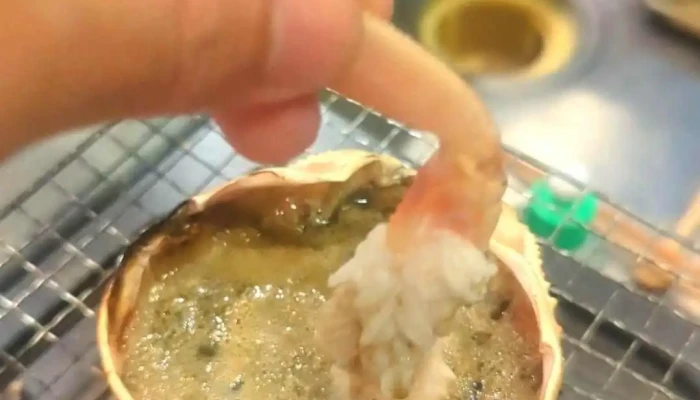 Sushi Dining かっぱ -  動画 - 日立市