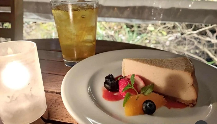 Ty Harbor チーズケーキ - 品川区