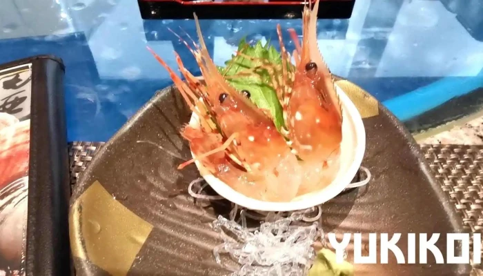 いか清 大門店 -  動画 - 函館市