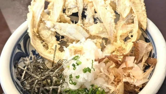 うどん 豊前屋 宇佐店 -  最新 - 宇佐市