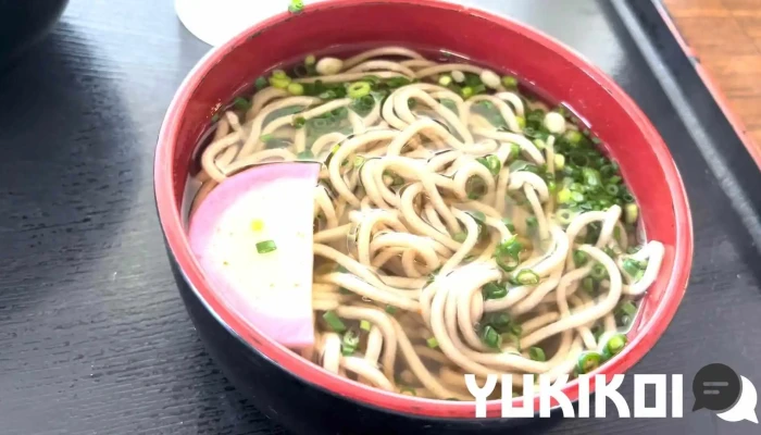 うどんそば やま信 延岡北店 うどん - 延岡市