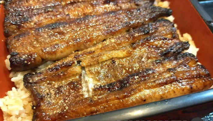 うなぎ割烹 とみ好 -  ウナギ - 柏崎市