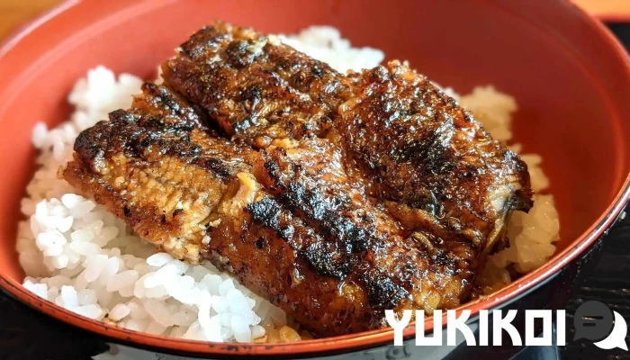 うなぎ料理 大はかや -  ウナギ - 松江市
