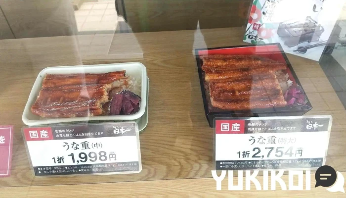 うなぎ日本一 本店 -  ウナギ - 野田市