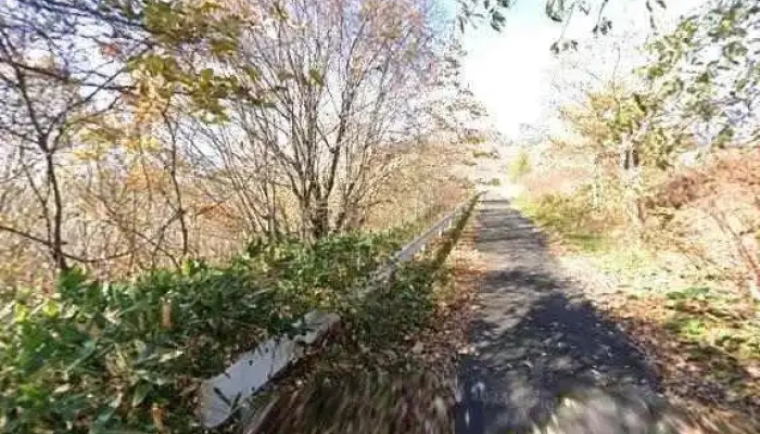お食事処 ヤマボウシ -  最新 - 一戸町