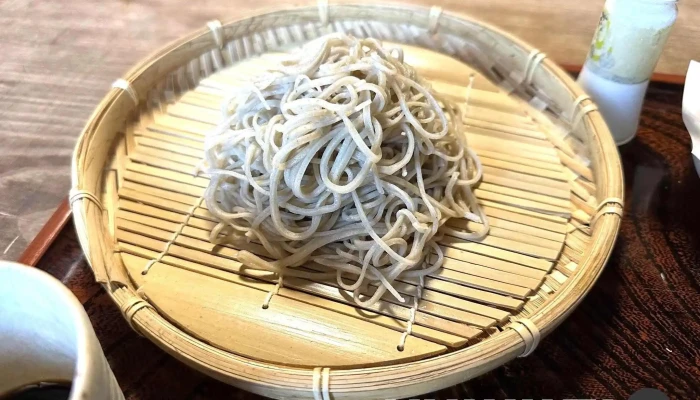 がんこ菴手打そば本店 -  麺 - 萩市