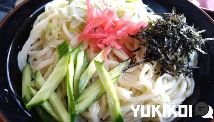 ぎおん -  うどん - 益子町