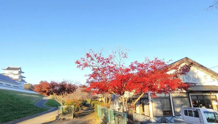 けやき茶屋 -  営業時間 - 野田市