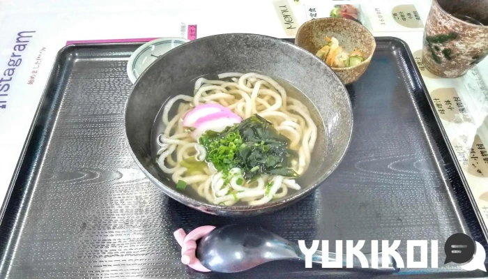 ごんぐり亭 -  最新 - 日南市