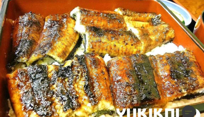 しらいしうなぎ屋 -  料理飲み物 - 人吉市