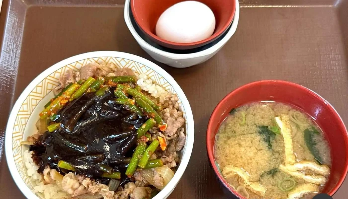 すき家 さいたま西堀店 -  丼物 - さいたま市