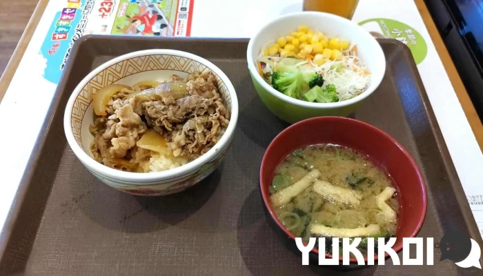 すき家 刈谷店 -  牛丼 - 刈谷市