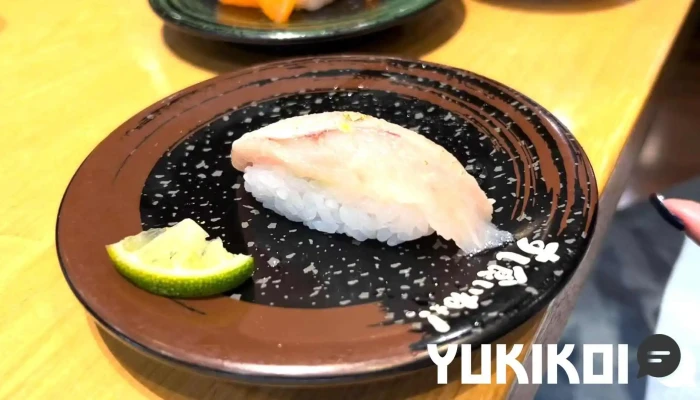 すし食いねぇ小松沖店 動画 - 小松市