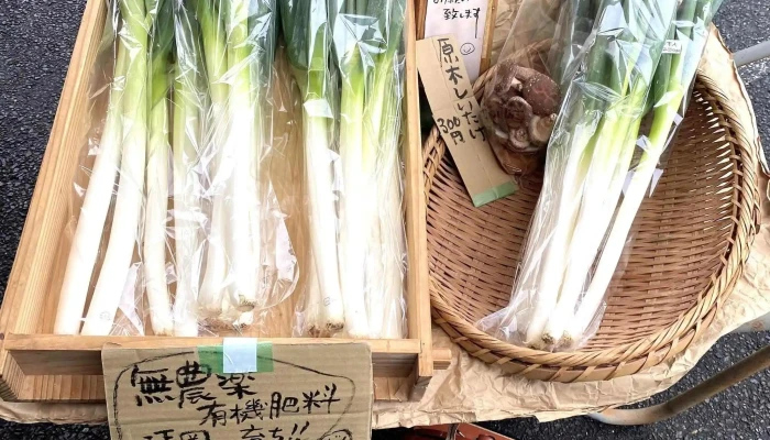 そば乃井 -  割引 - 延岡市