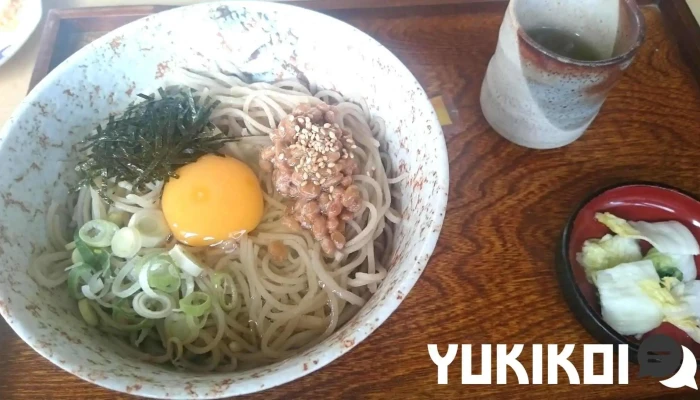 そば処すがい -  麺 - 南陽市
