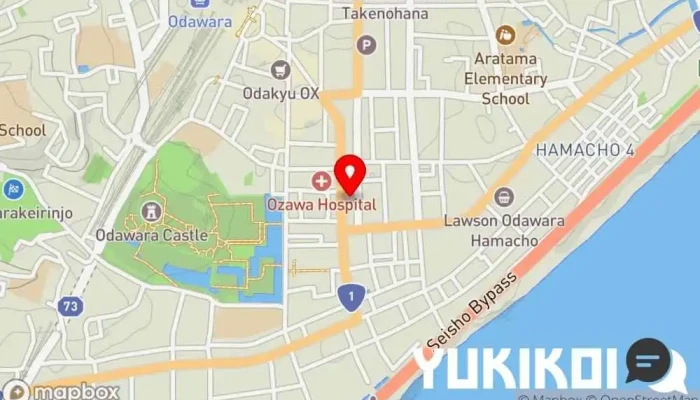 の地図 だるま料理店 本店 シーフード・海鮮料理店, 和食店 で 小田原市