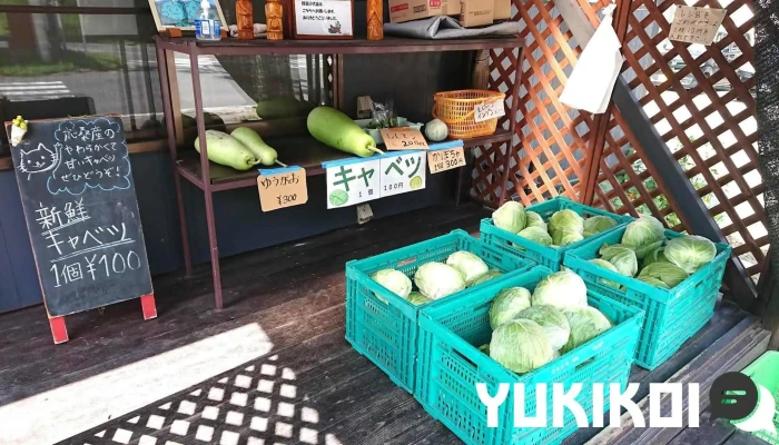 てんぐ食堂 -  雰囲気 - 嬬恋村
