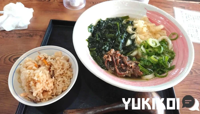 とんかつうどん かつ辰 石津寝屋川店 うどん - 寝屋川市