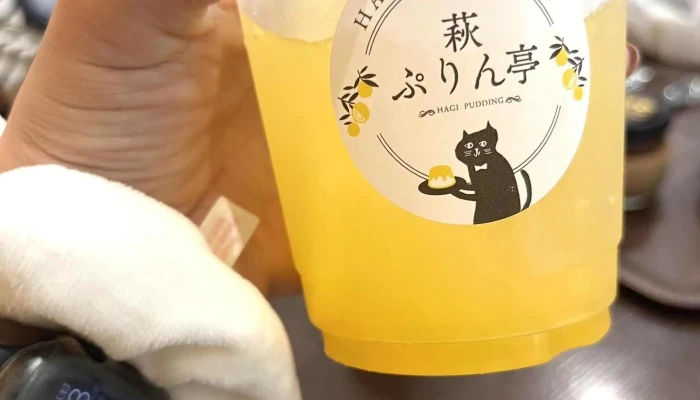 なめらかプリン専門店 萩ぷりん亭 -  どこ - 萩市