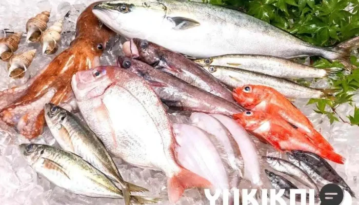ひたち南ドライブイン -  料理飲み物 - 日立市