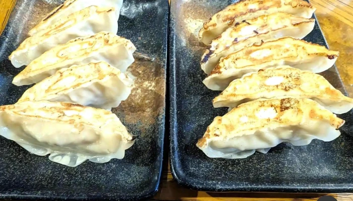 もちもちの木 野田店 -  餃子 - 野田市