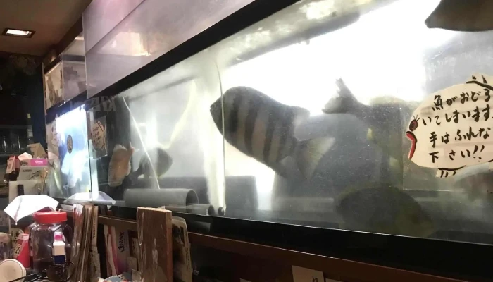 やまがたや -  スコア - さいたま市