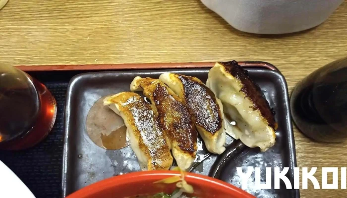 らーめん龍風 人吉店 -  餃子 - 人吉市