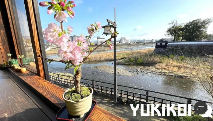 りんどう -  オーナー提供 - 人吉市