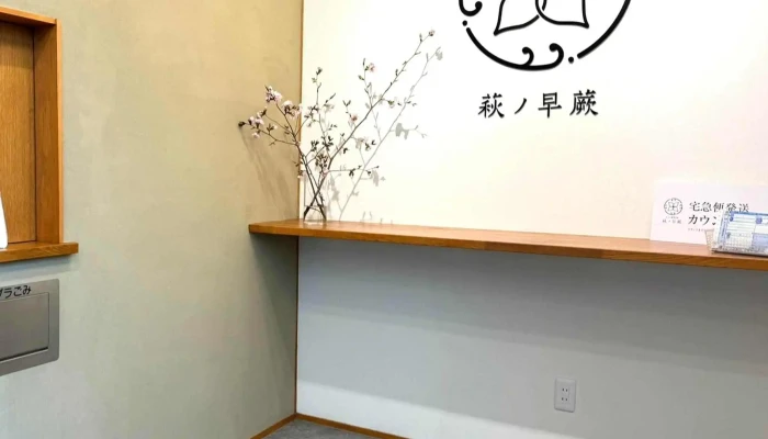 わらび餅専門店 萩ノ早蕨 -  エリア - 萩市