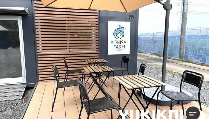 アオニサイファーム ブルーベリー観光農園&カフェ - つくば市