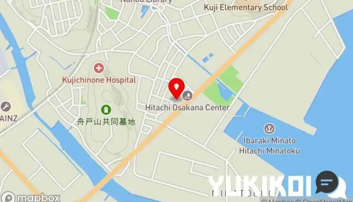 の地図 エイミーズキッチン（Ｅｍｍｉｅ’ｓ） ファースト フード店 で 日立市